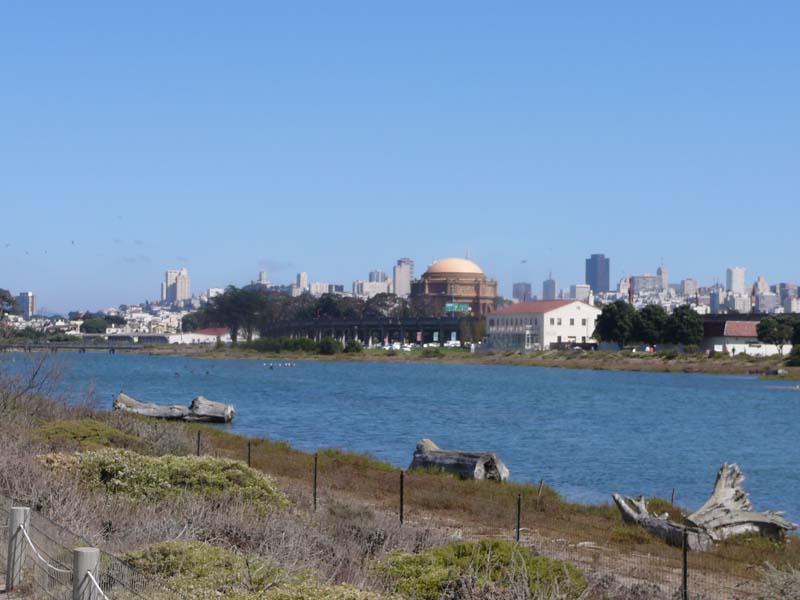 P1060174