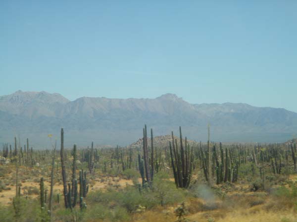 DSC02533