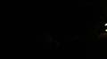 P1130607