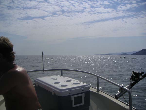 PICT0014