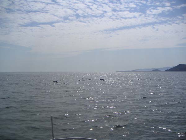 PICT0015