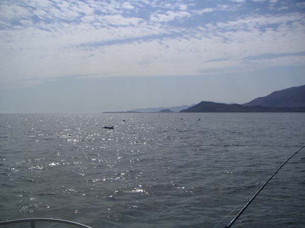 PICT0016