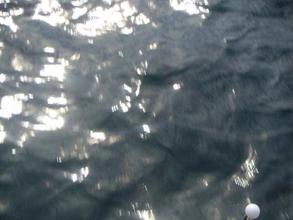 PICT0019