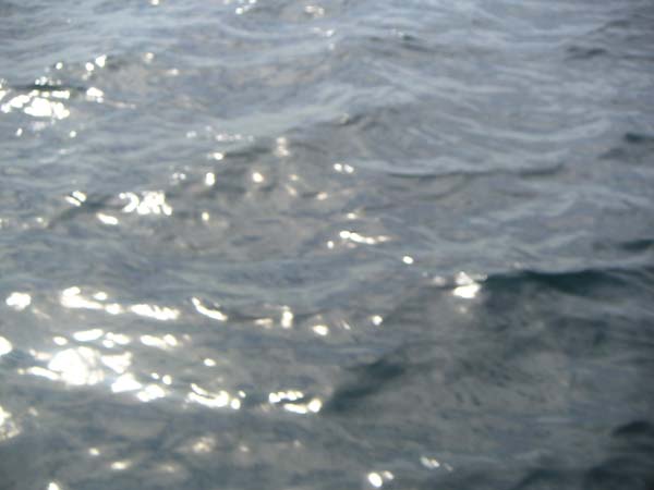 PICT0020