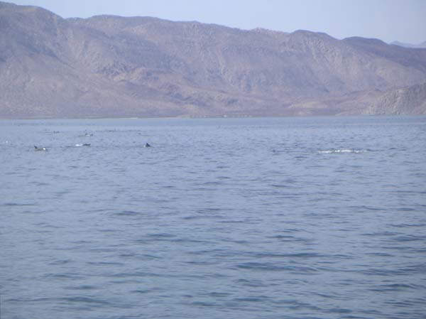 PICT0022