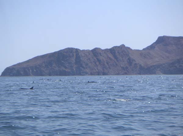 PICT0026