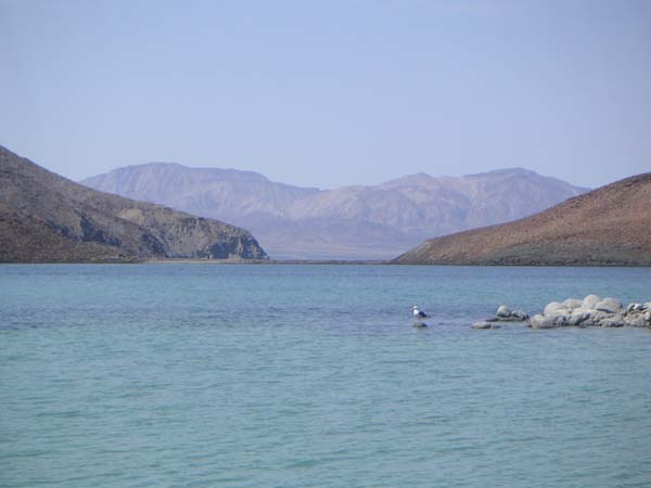 PICT0029
