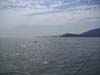 PICT0016