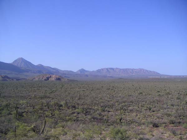 PICT0056