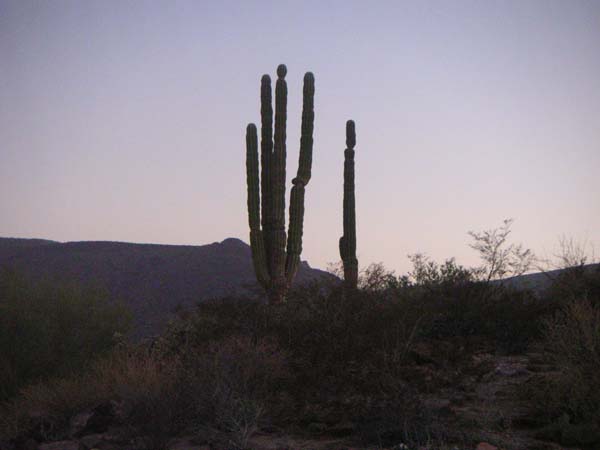 PICT0078