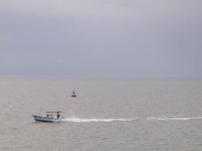 PICT0038
