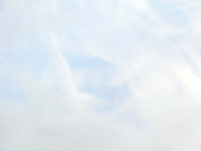 PICT0042