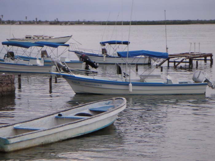 PICT0047
