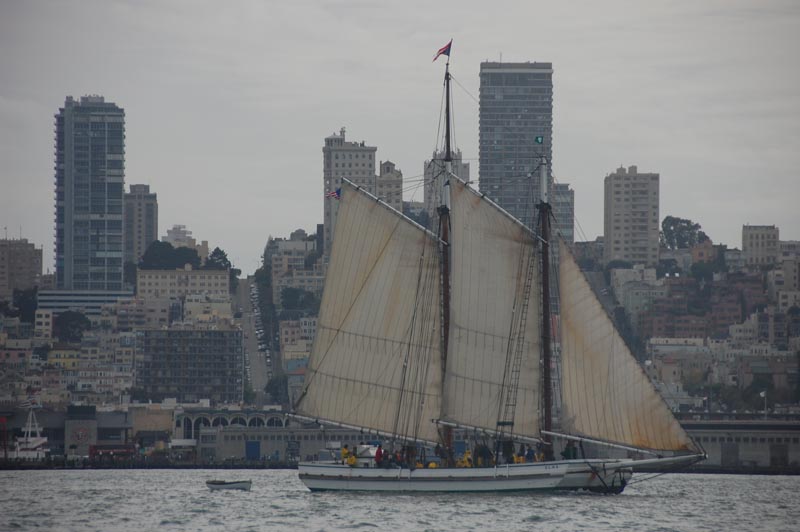 DSC_3649