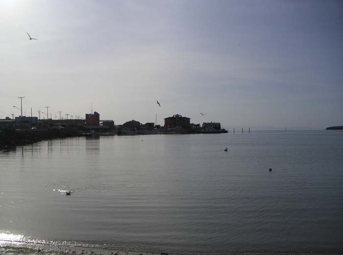 PICT0024