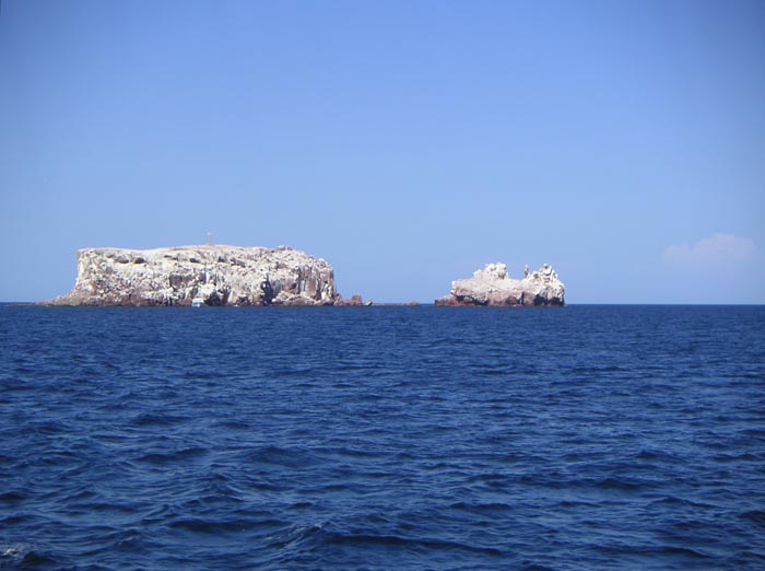 PICT0081