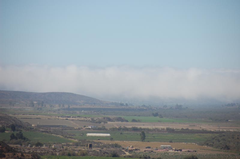DSC_6271