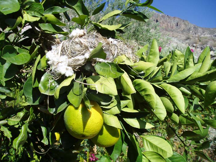 practica de campo eco#0034