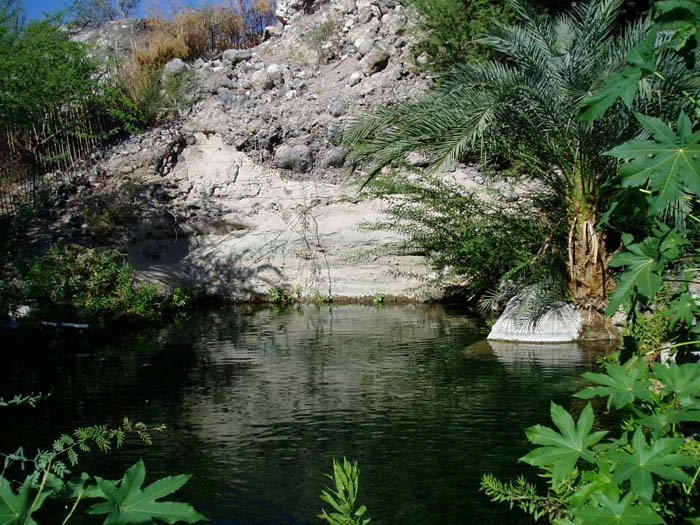 practica de campo eco#0036