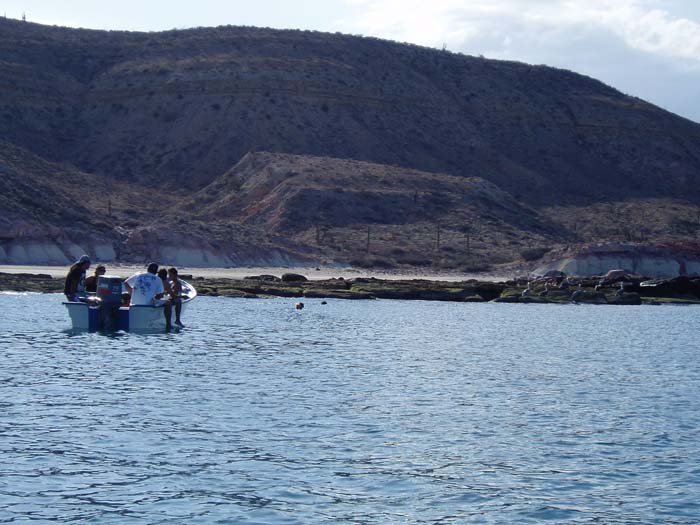 practica de campo eco#0056