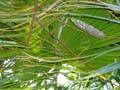 practica de campo eco#0039