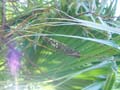 practica de campo eco#0040