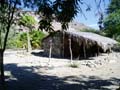 practica de campo eco#0042