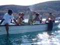 practica de campo eco#0053