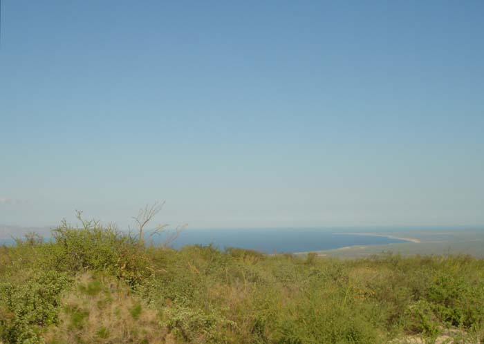DSC02870
