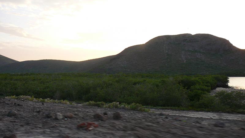 P1130682
