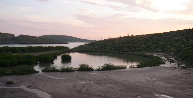 P1130691