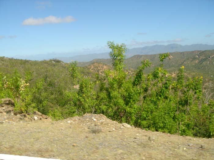 DSC02916