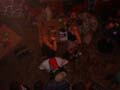 DSC02954