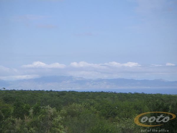 PICT0004