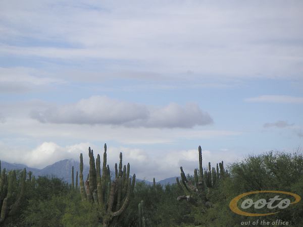 PICT0013