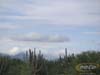 PICT0013