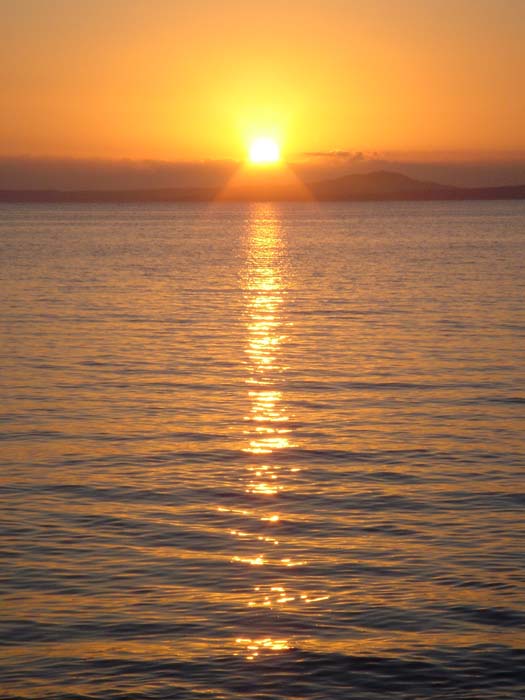 DSC03001