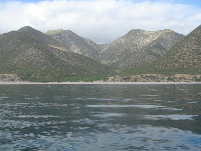 DSC03025