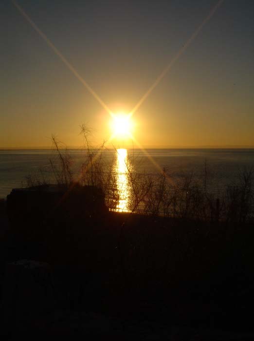 DSC03056