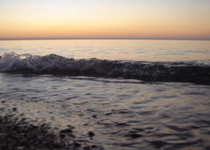 DSC03071