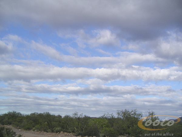 PICT0018