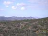 PICT0017