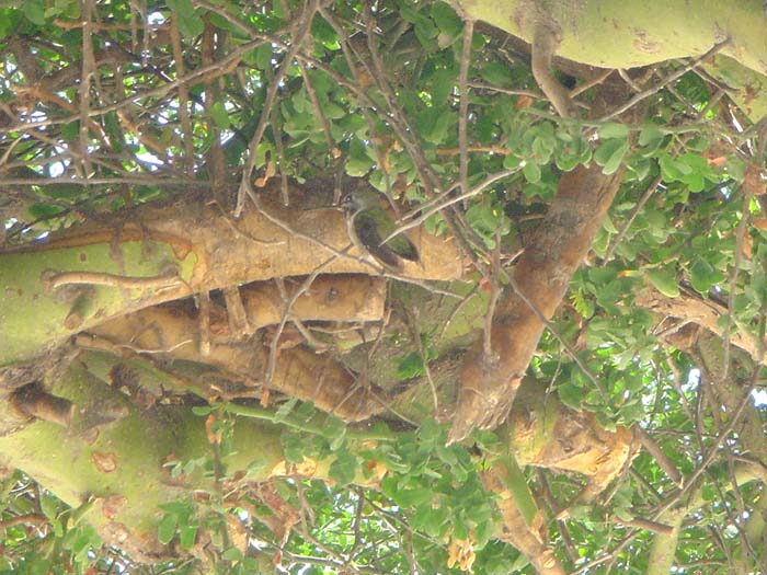 DSC03104