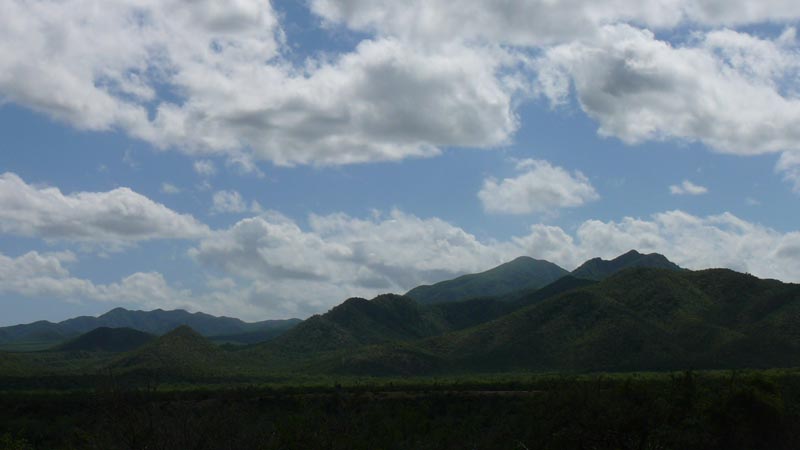 P1130748