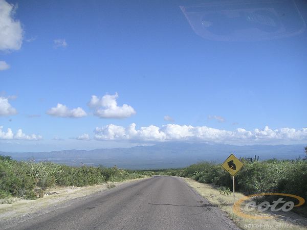 PICT0022