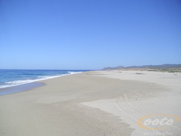 PICT0041