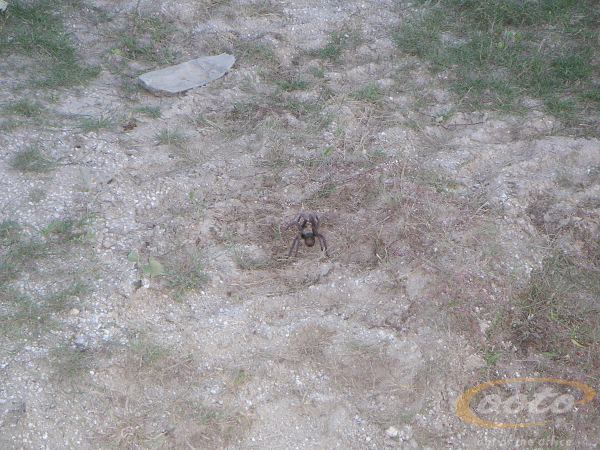 PICT0058