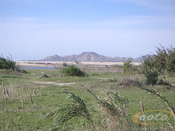PICT0061