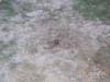 PICT0058