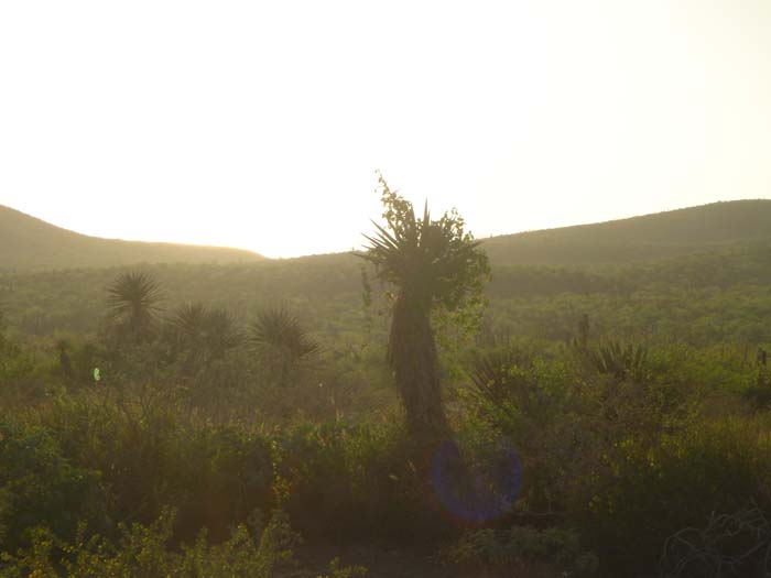 DSC03266